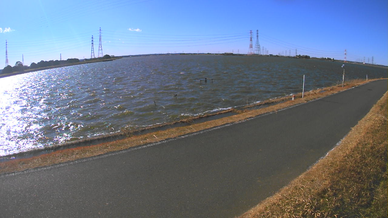 wani2026011212_image