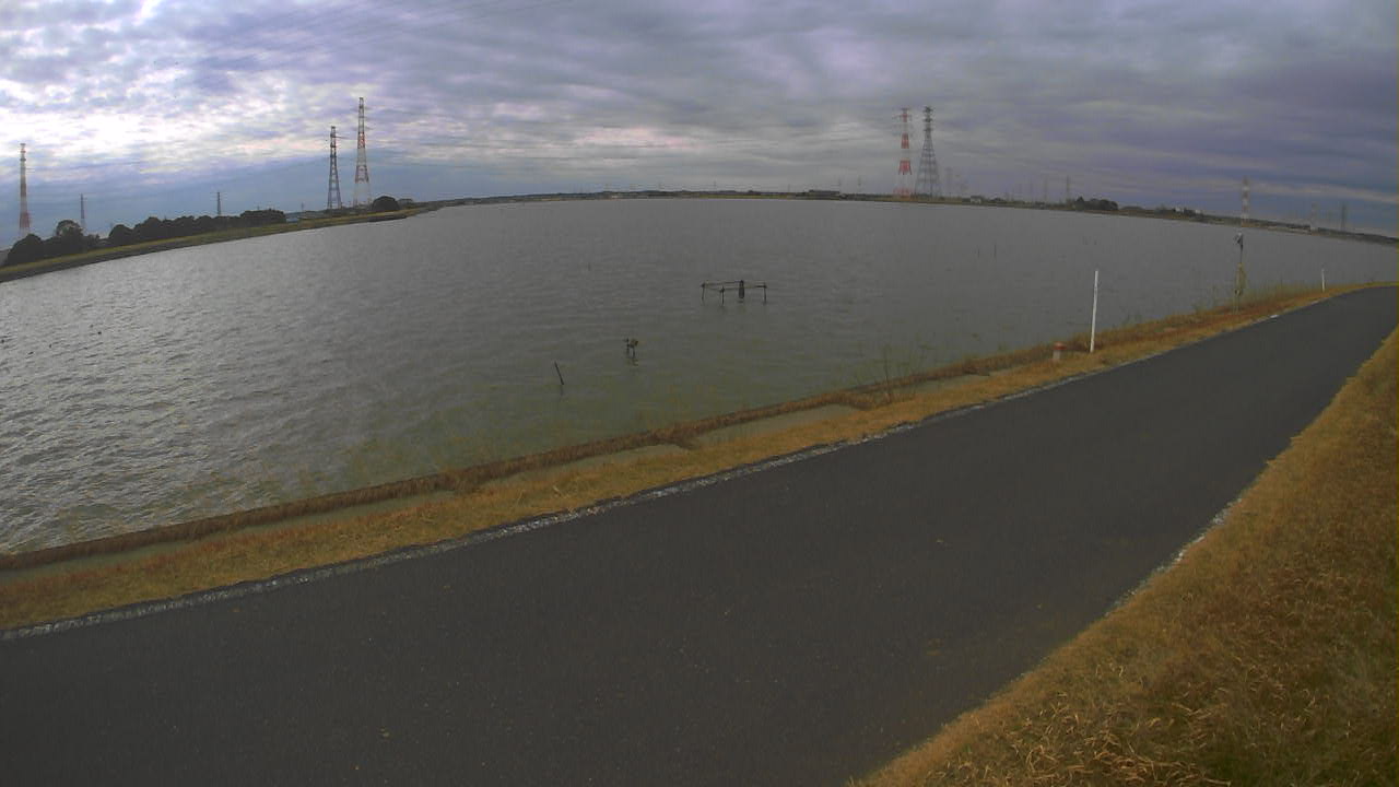 wani2026012012_image