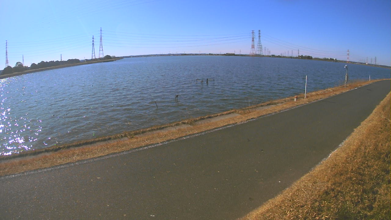 wani2026012912_image