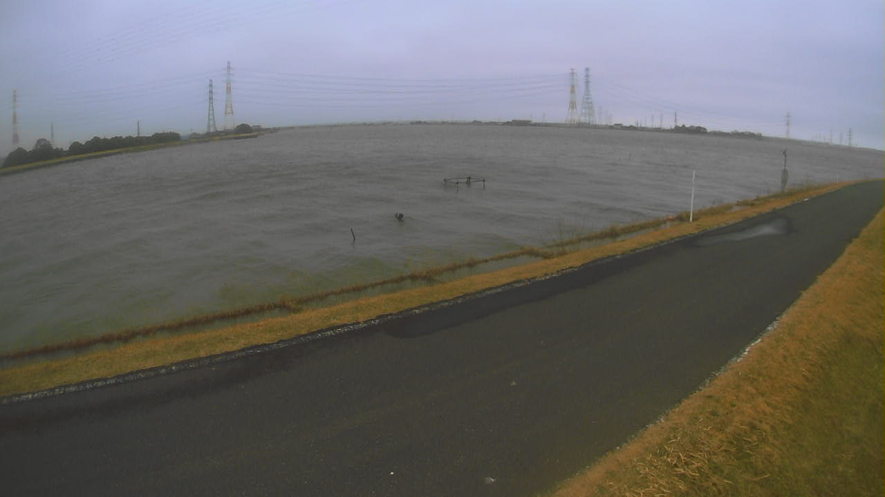 wani2026022612_image