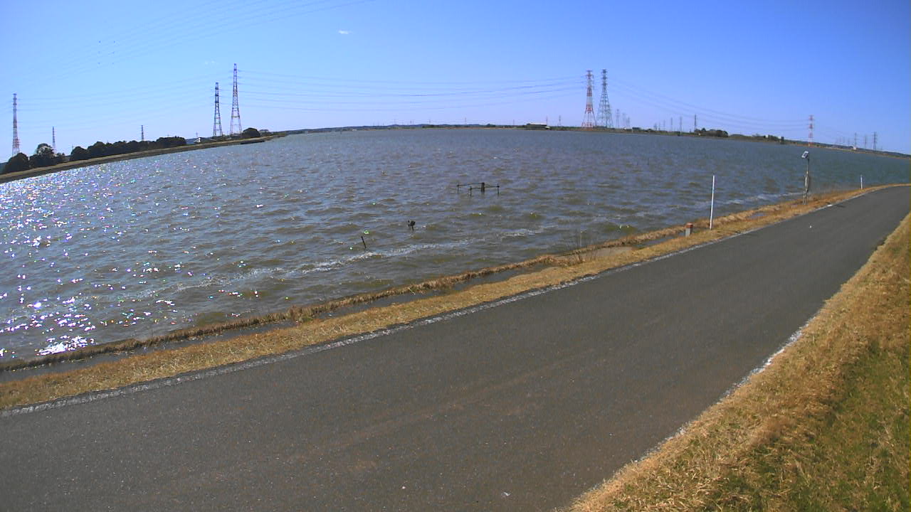 wani2026030512_image