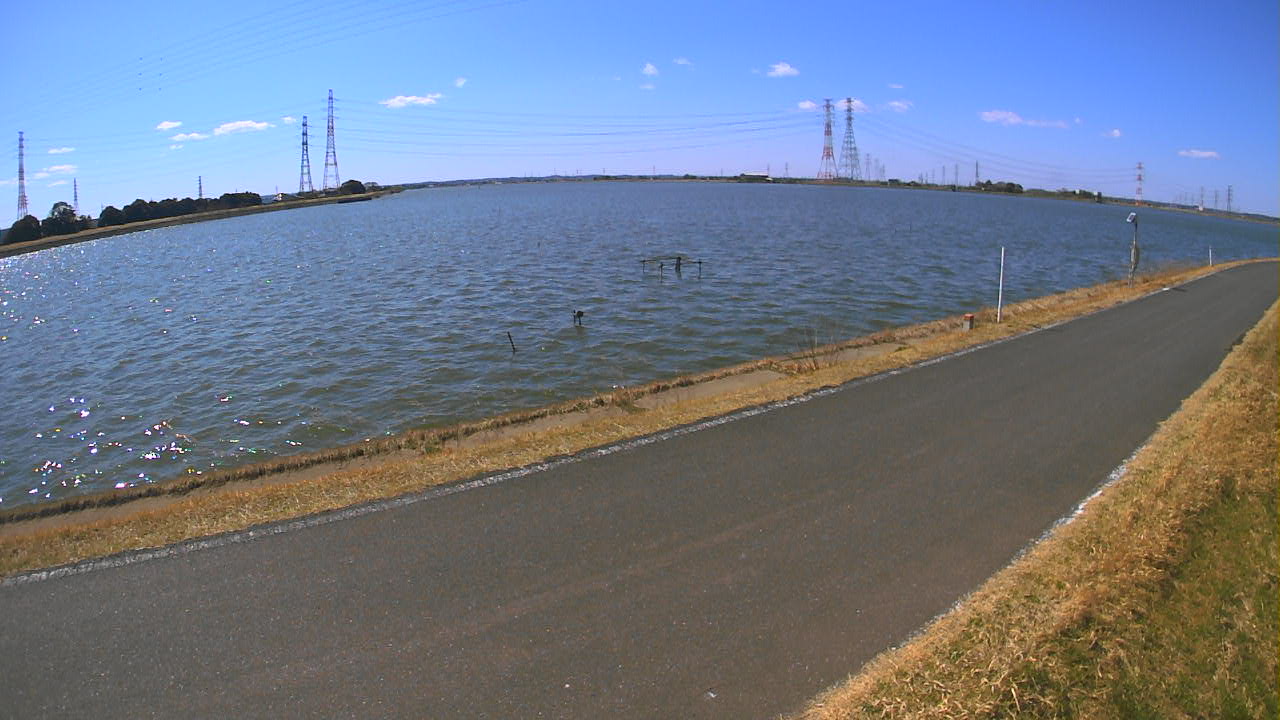 wani2026030812_image