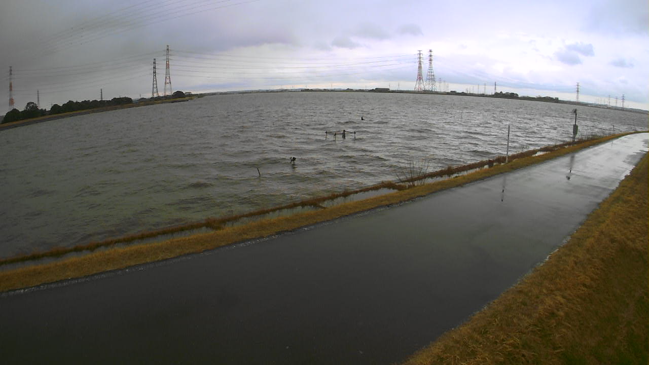 wani2026031012_image