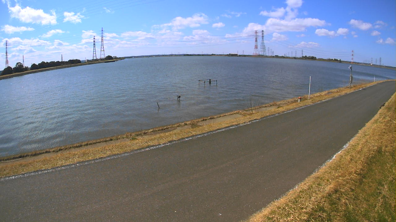 wani2026031112_image