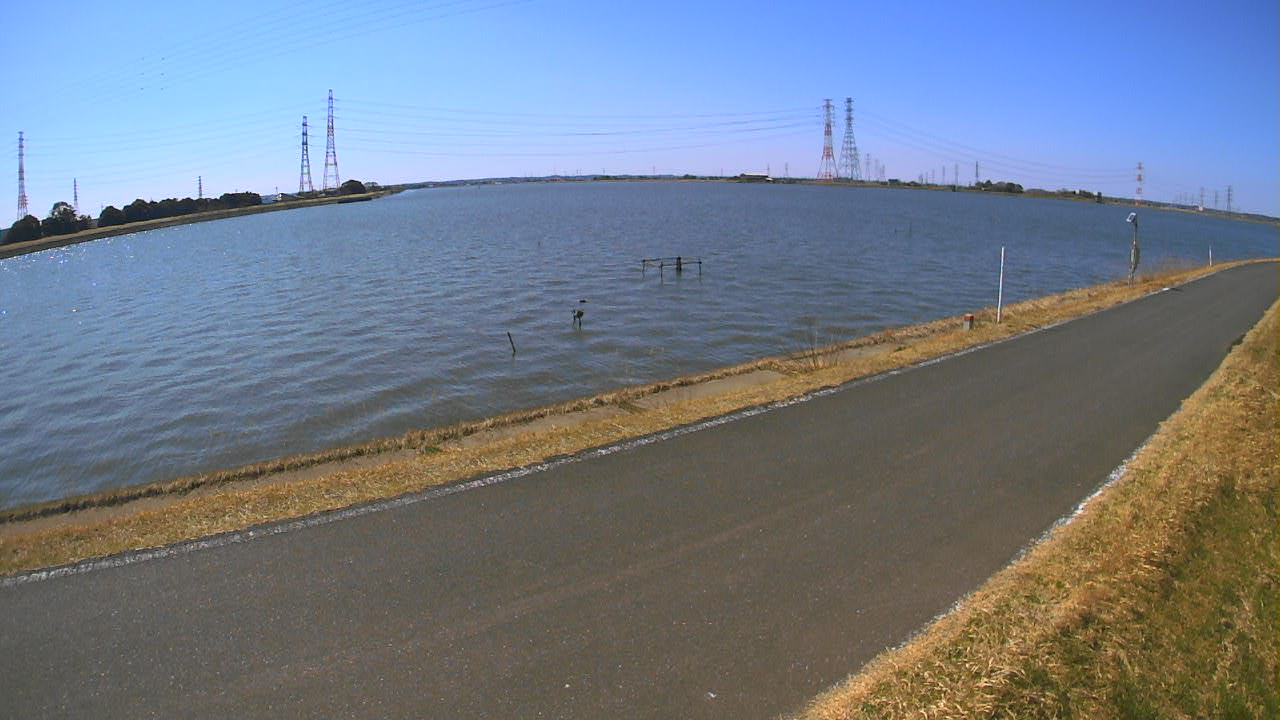 wani2026031212_image