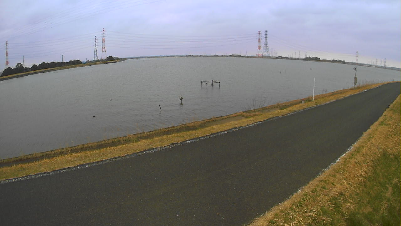 wani2026032008_image