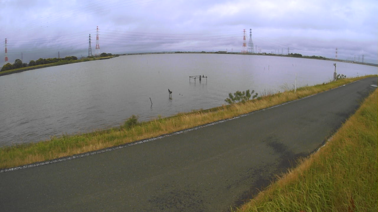 wani2026060812_image