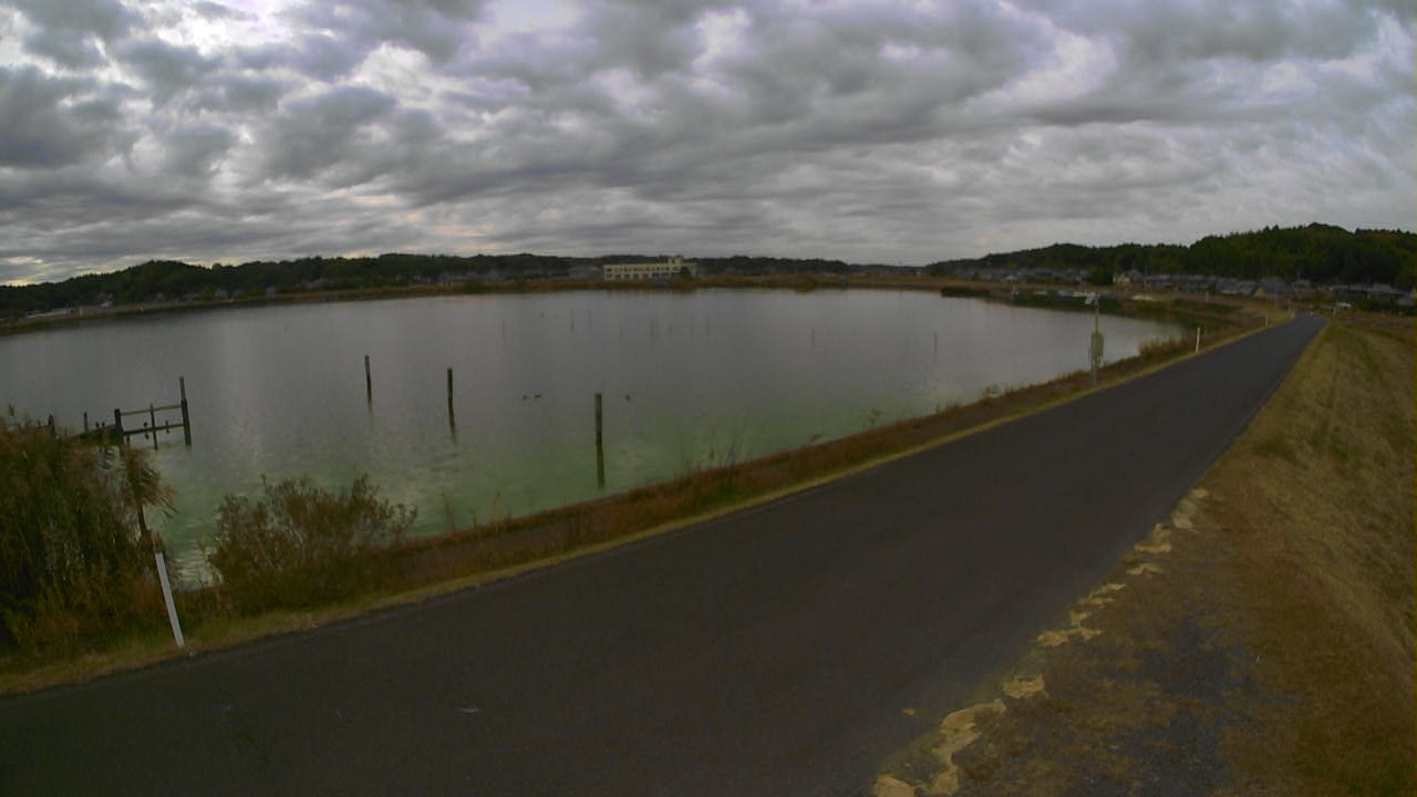 yamada2025111112_image