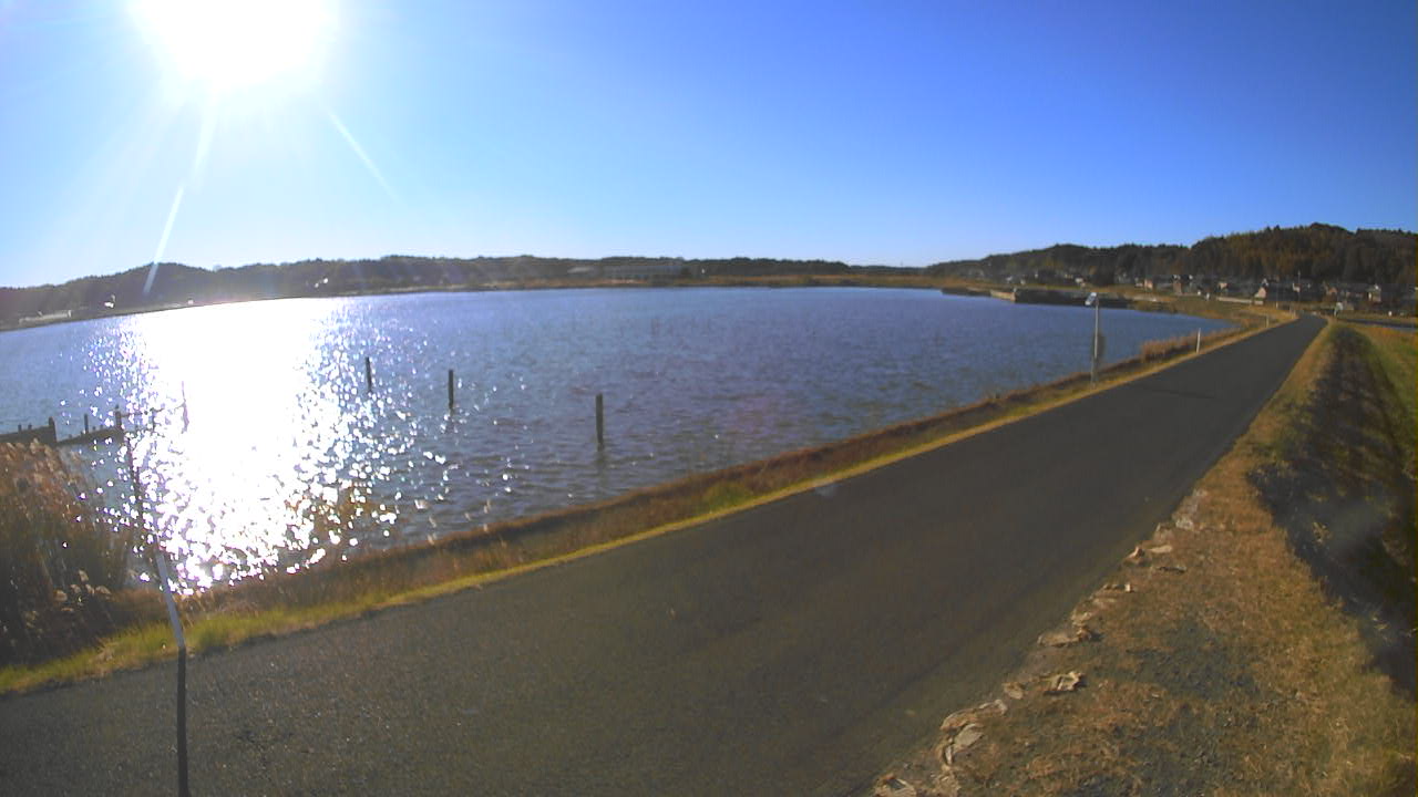 yamada2025120414_image