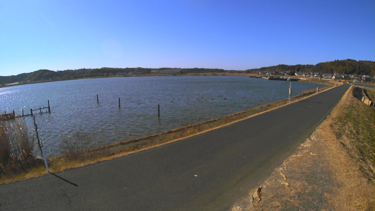 yamada2026011612_image