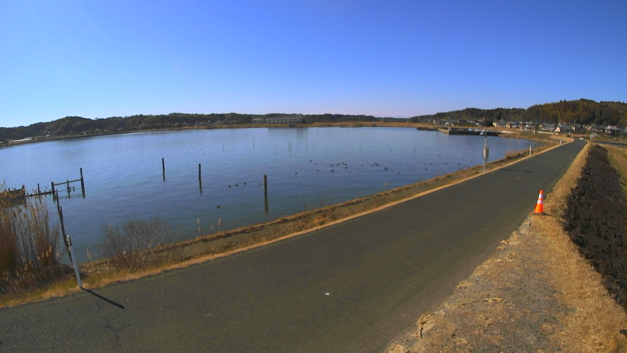 yamada2026012912_image