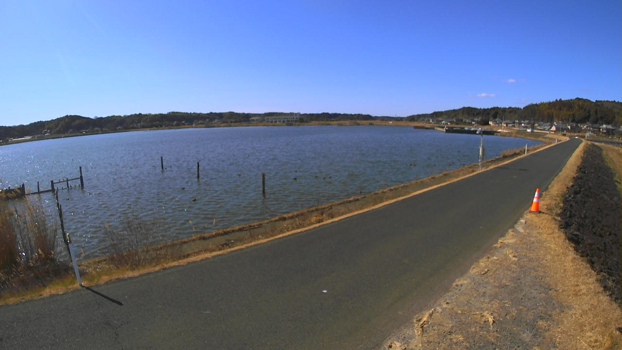 yamada2026013112_image