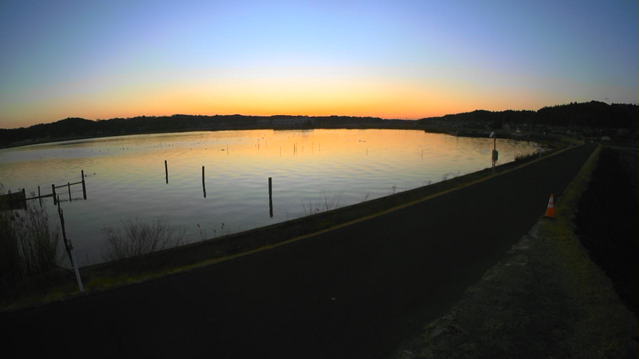 yamada2026020117_image