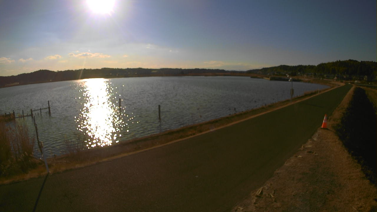 yamada2026020215_image