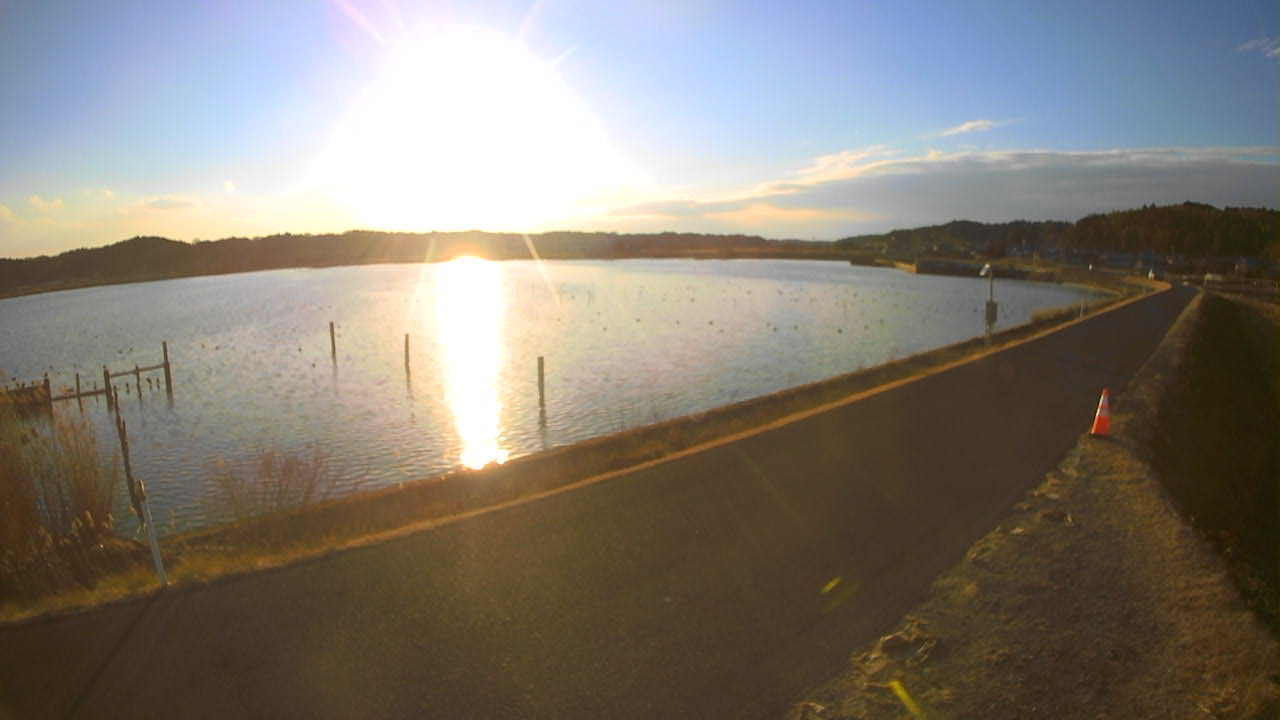 yamada2026020216_image