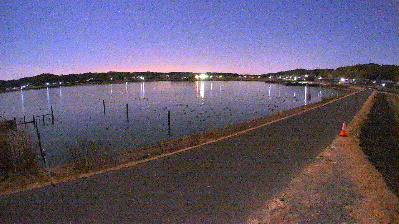 yamada2026020301_image