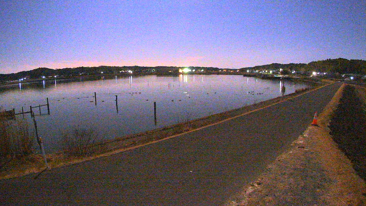 yamada2026020303_image