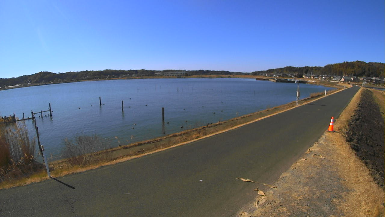 yamada2026020312_image