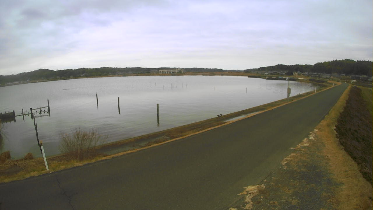 yamada2026022712_image