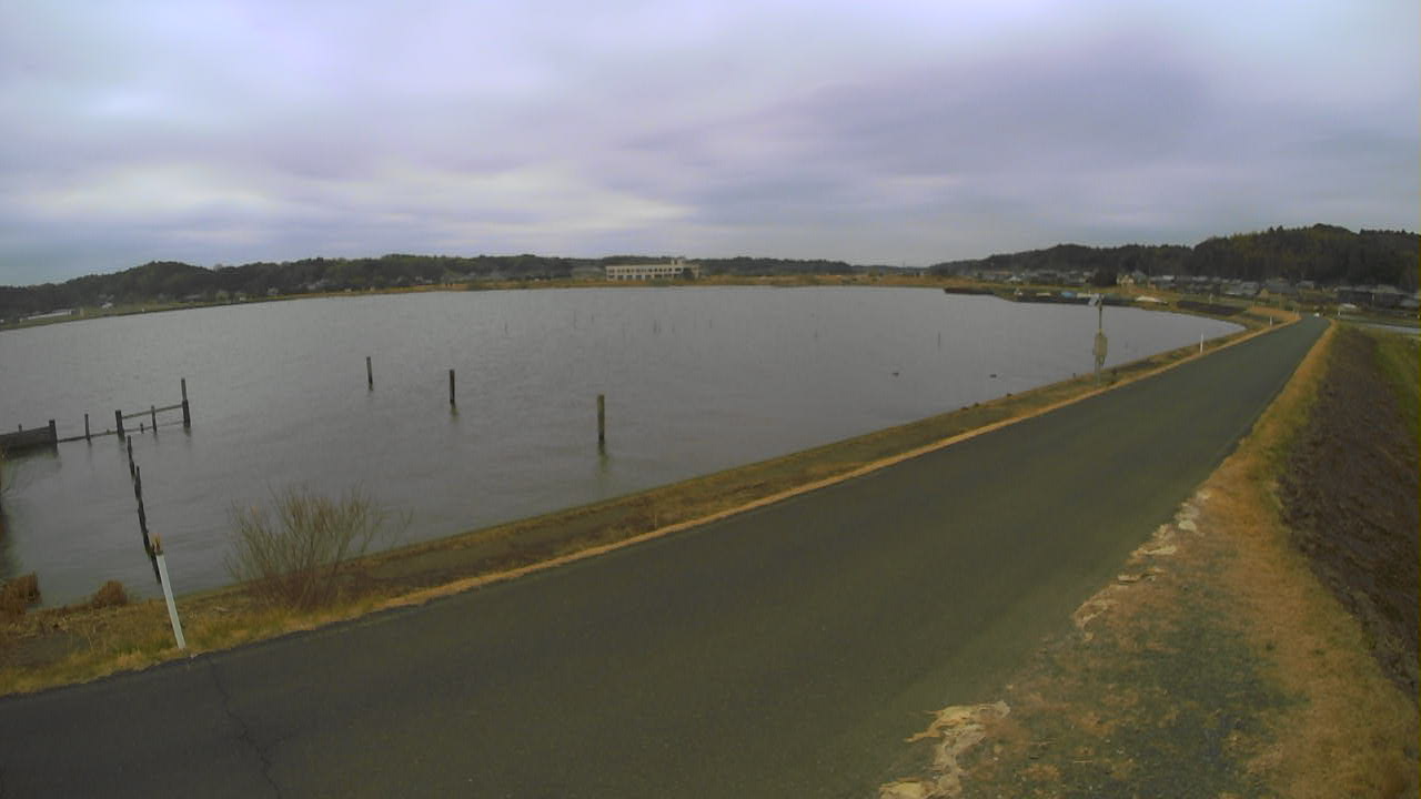 yamada2026030212_image