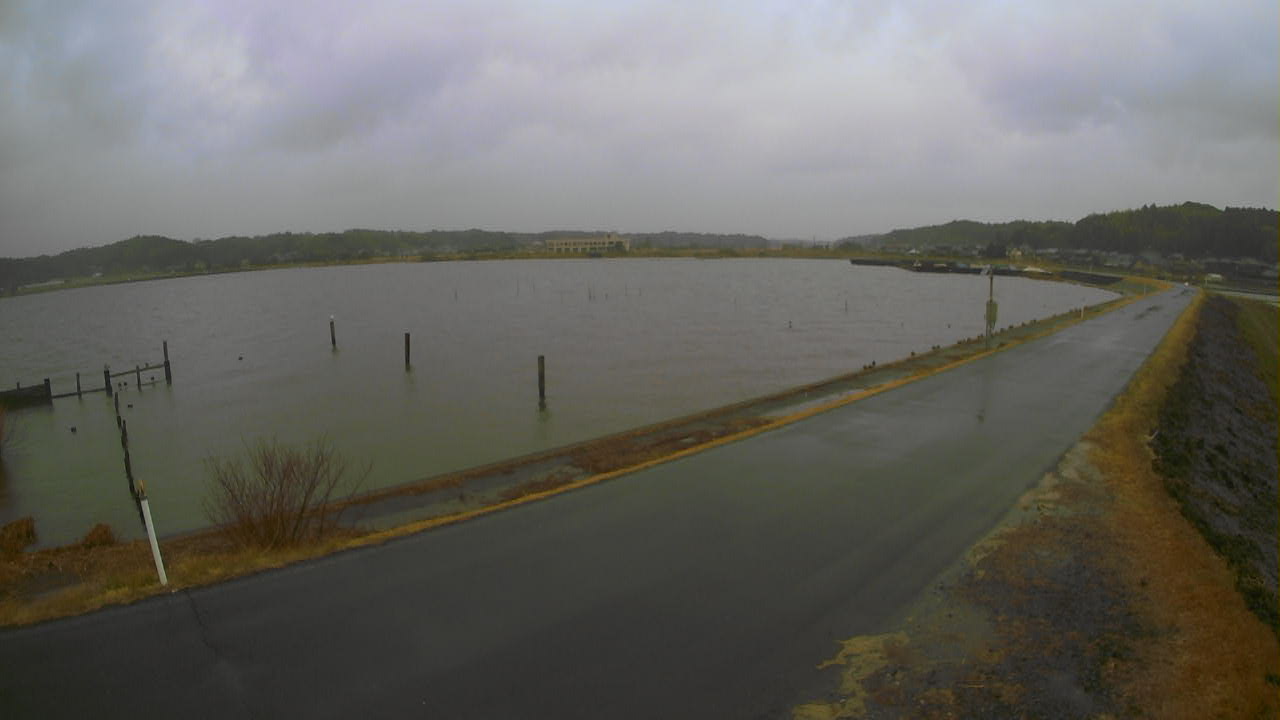 yamada2026030312_image