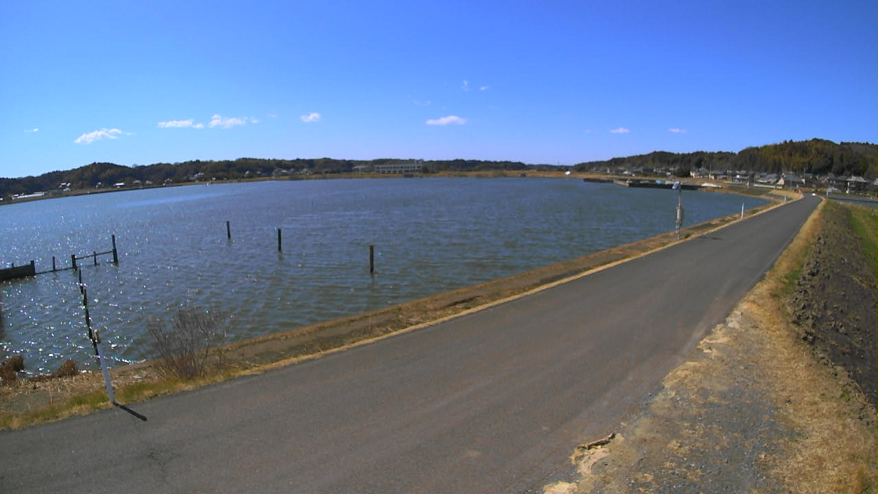 yamada2026030812_image