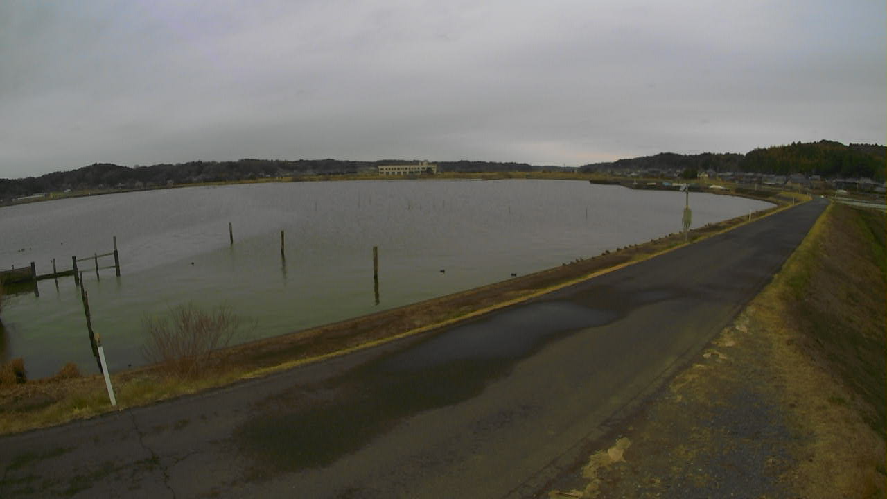 yamada2026032014_image