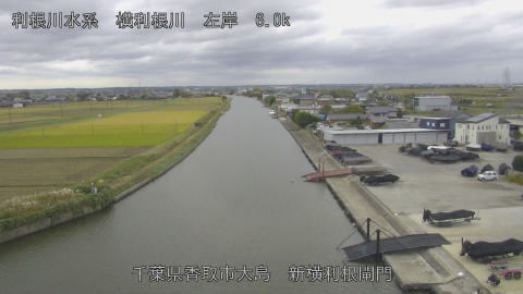 yoko2023111512_image