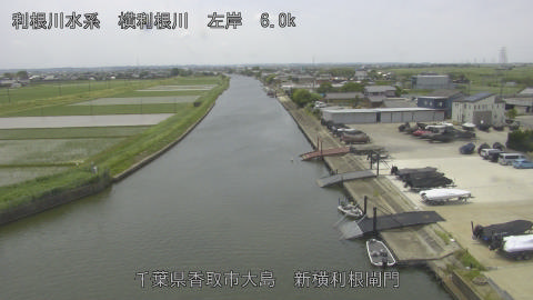 yoko2025052312_image