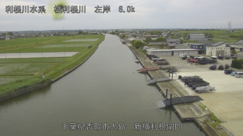 yoko2025052612_image