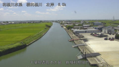 yoko2025072612_image