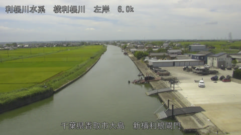 yoko2025072712_image