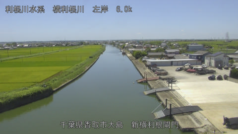 yoko2025072912_image