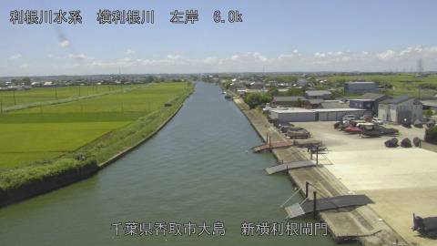 yoko2025073012_image