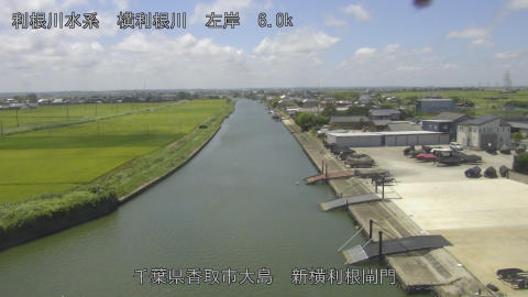 yoko2025073112_image