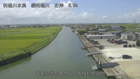 yoko2025080312_image