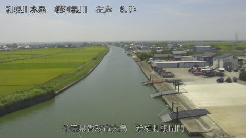 yoko2025080412_image