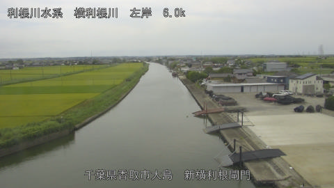 yoko2025080912_image