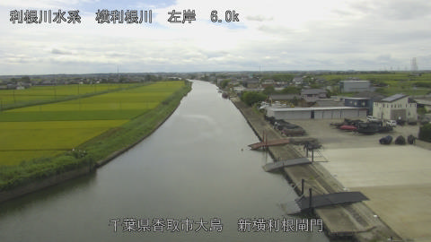 yoko2025081312_image