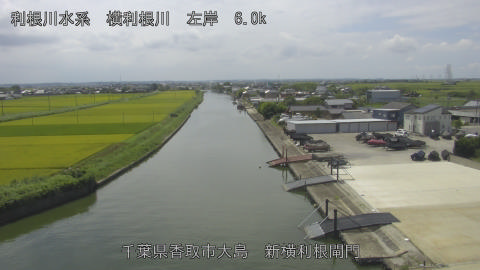 yoko2025081412_image