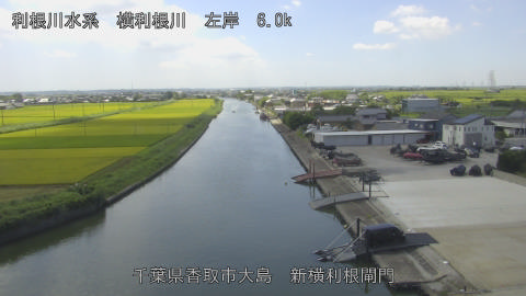 yoko2025081512_image