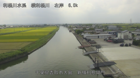 yoko2025081612_image
