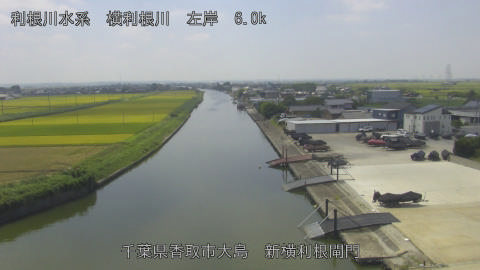 yoko2025081912_image
