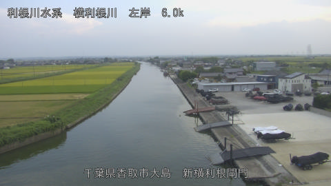 yoko2025082118_image
