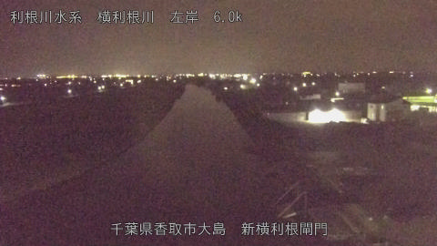 yoko2025082120_image