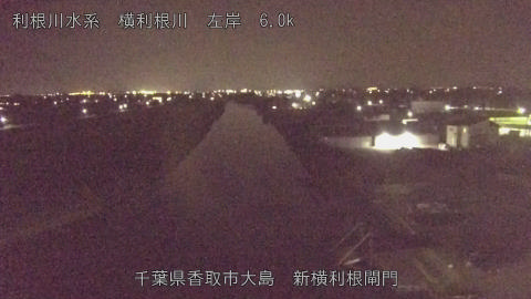 yoko2025082121_image