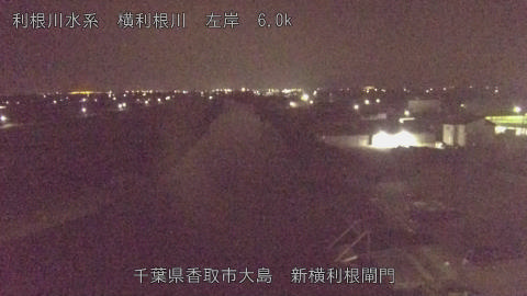 yoko2025082201_image