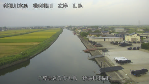yoko2025082206_image