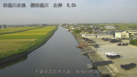 yoko2025082207_image