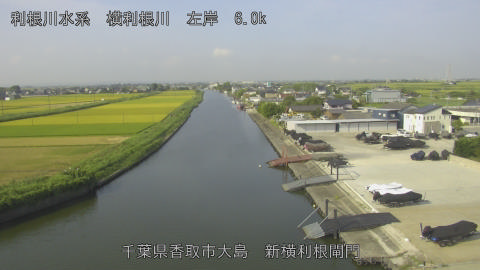 yoko2025082208_image